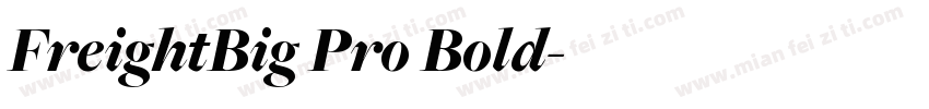 FreightBig Pro Bold字体转换